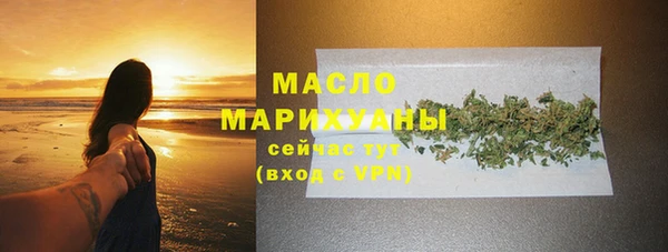 сатива Бородино
