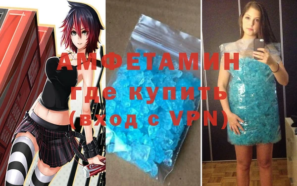 сатива Бородино