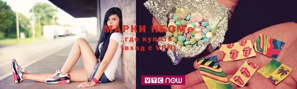 сатива Бородино