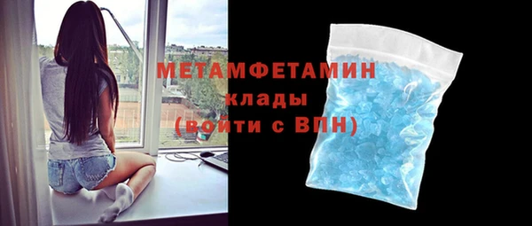 сатива Бородино