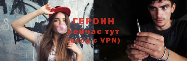 сатива Бородино