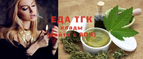 сатива Бородино