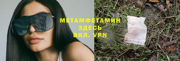 сатива Бородино