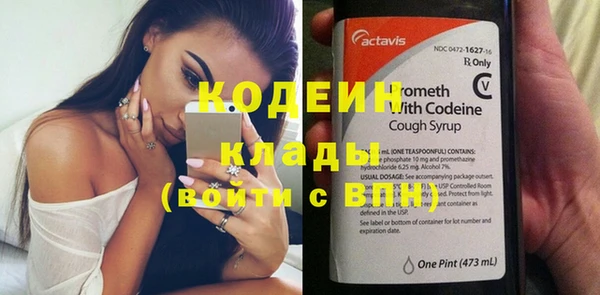 сатива Бородино