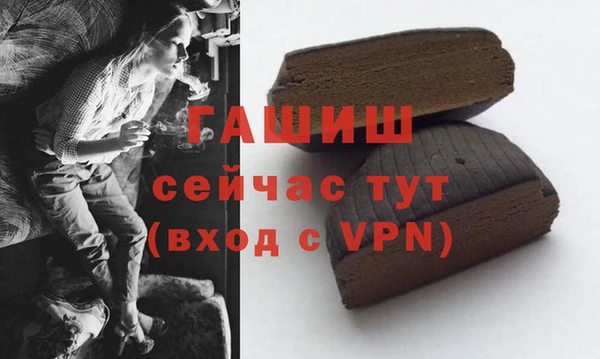 сатива Бородино