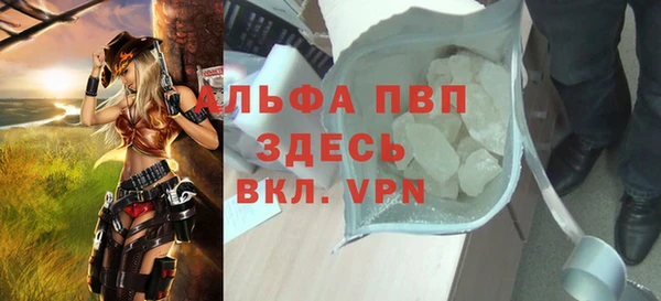 сатива Бородино