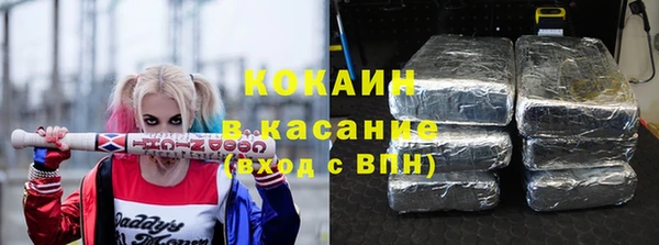 сатива Бородино