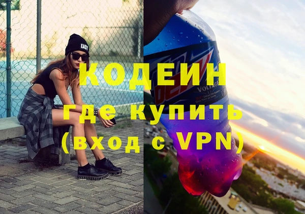 сатива Бородино